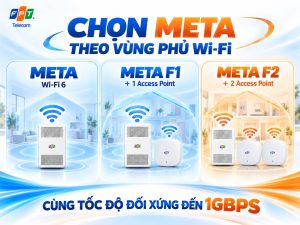 Các phiên bản Meta F1, F2  khác Meta tiêu chuẩn chủ yếu ở số lượng Access Point đi kèm.