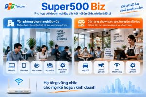 Super500 Biz phù hợp hơn với những đơn vị có nhu cầu sử dụng mạng nhiều thiết bị kết nối.