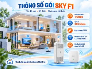 Thông số gói Sky F1
